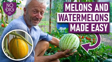 melontube porn|New videos